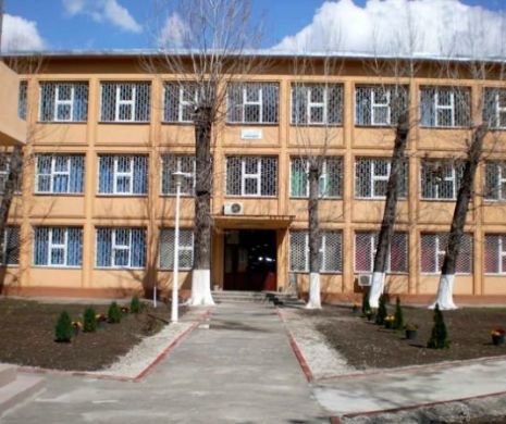 Liceul Teoretic Nichita Stanescu